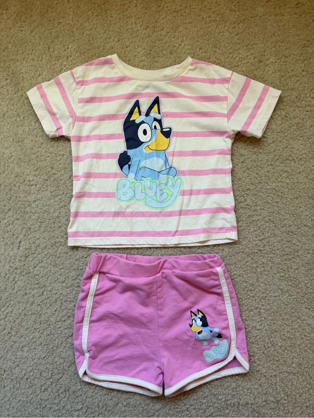 Girls Bluey Outfit 4T